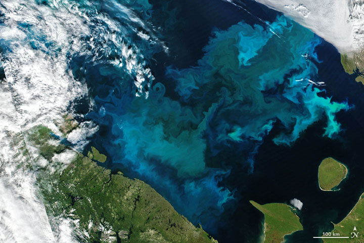 Summer Color in Northern Seas - related image preview