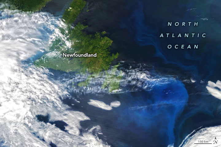 Summer Color in Northern Seas - related image preview