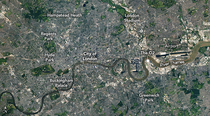 A London Mosaic - related image preview