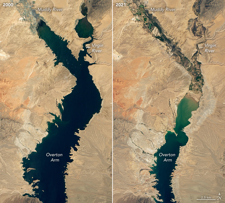Landsat Image of Lake Mead 2000 vs 2021