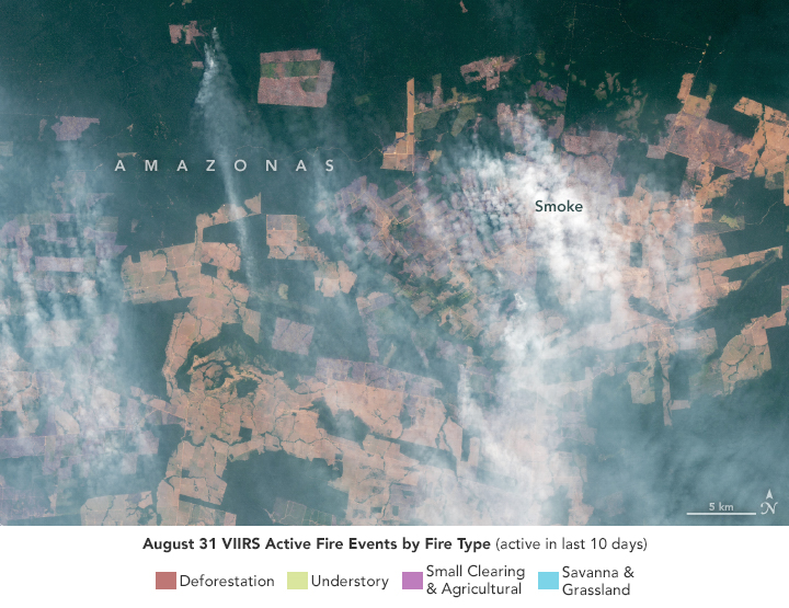 Smoky Skies in the Western Amazon