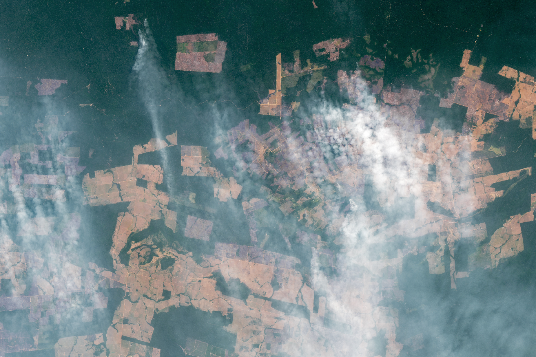 Smoky Skies in the Western Amazon - related image preview