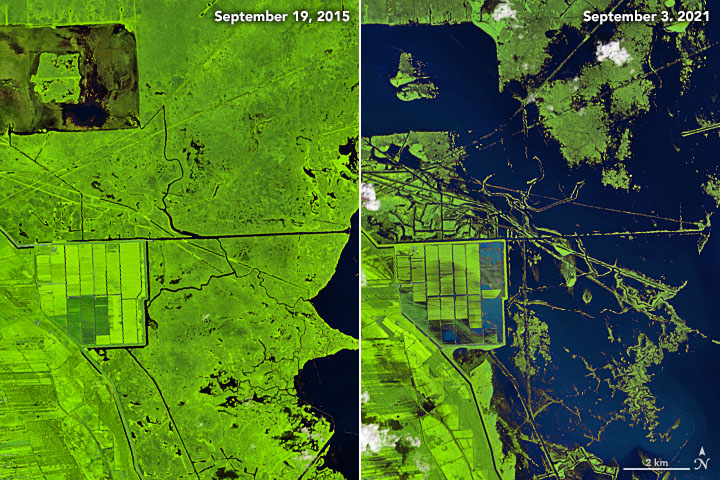 A Changed Landscape in Southern Louisiana - related image preview