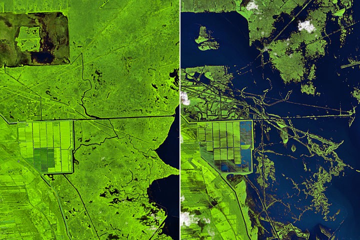 A Changed Landscape in Southern Louisiana