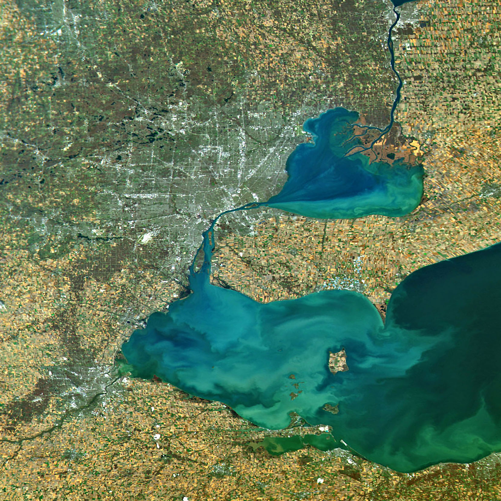 A Ship Graveyard in Lake Erie