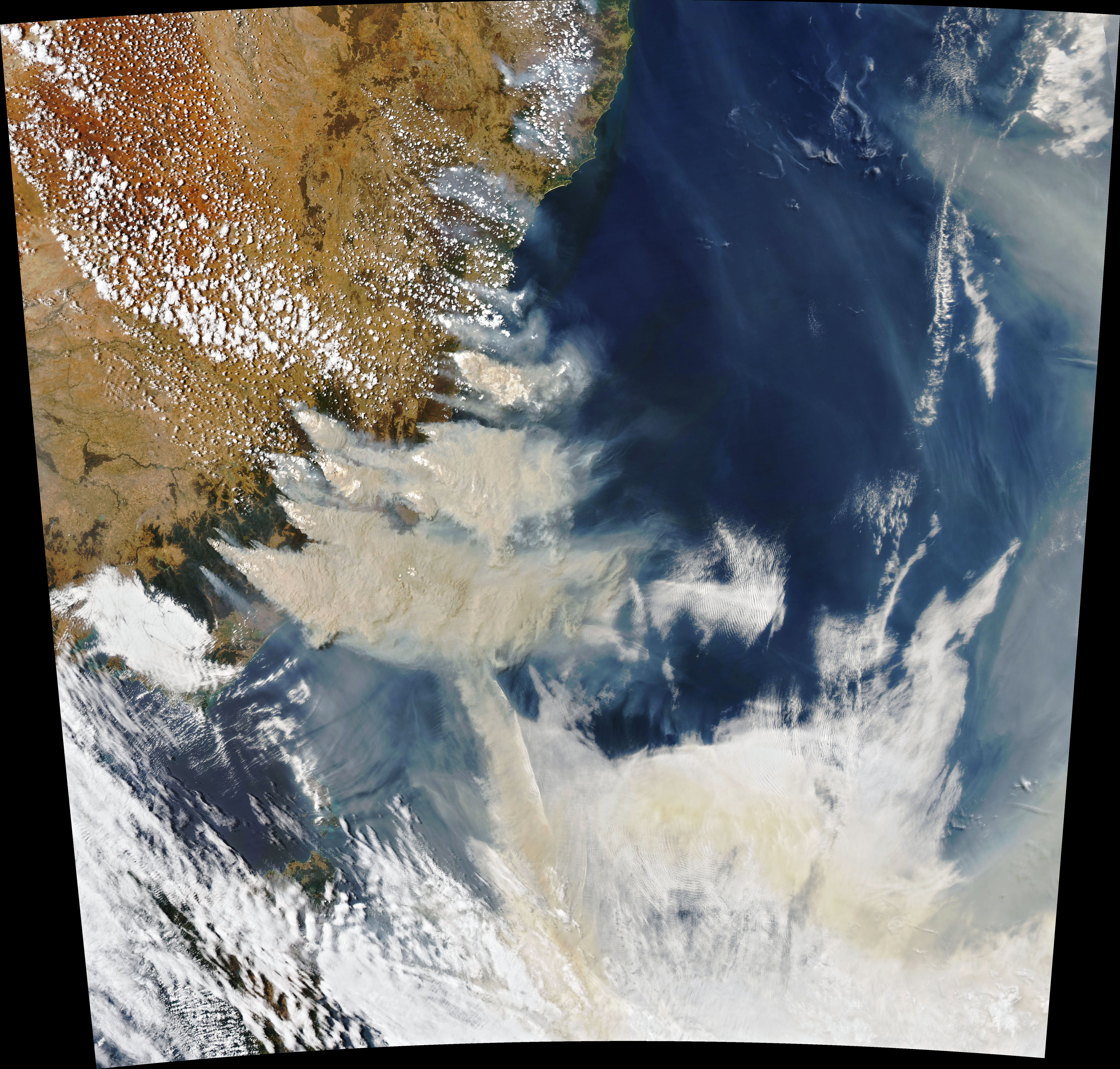 Australian Fires Fueled Unprecedented Blooms - related image preview