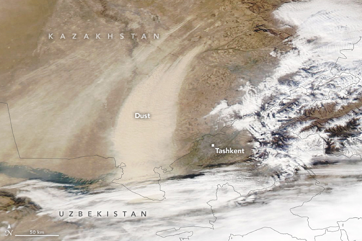 Dust Blankets Tashkent - related image preview
