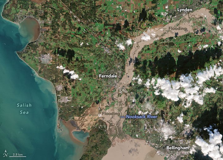 Severe Flooding in the Pacific Northwest - related image preview