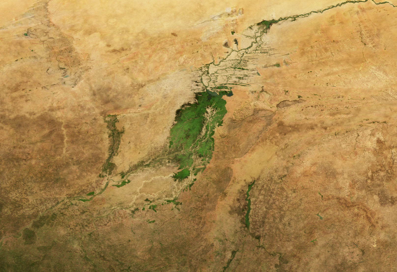 A Seasonal Emerald in the Sahel - related image preview