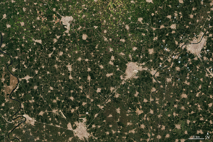 The Nile Delta’s Disappearing Farmland - related image preview