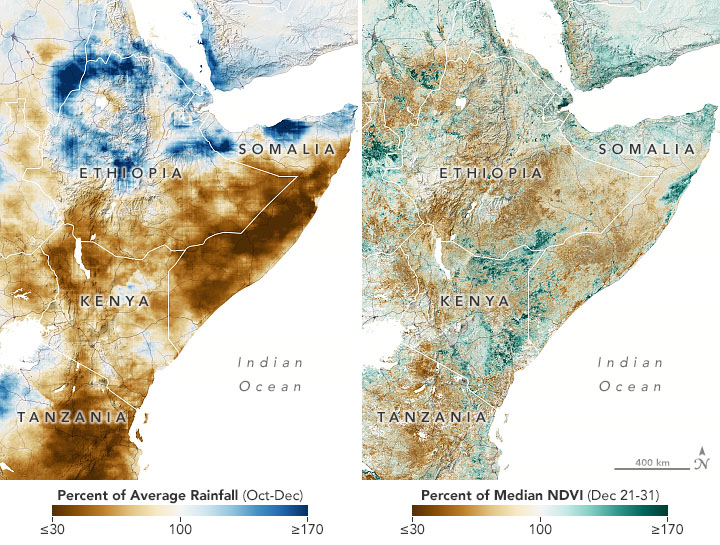 Failed Rainy Seasons Create Food Emergency in Eastern Africa - related image preview