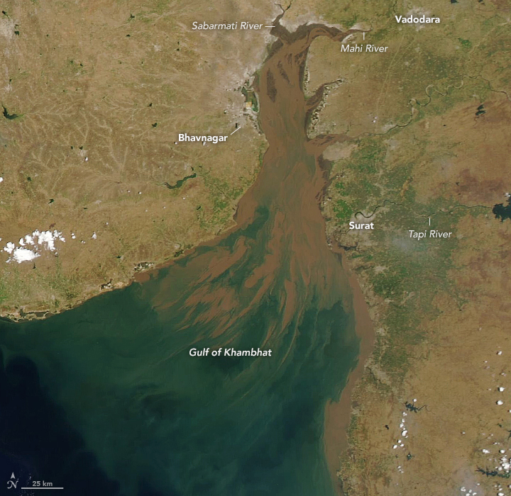 Suspended Sediments Streak a Shallow Gulf