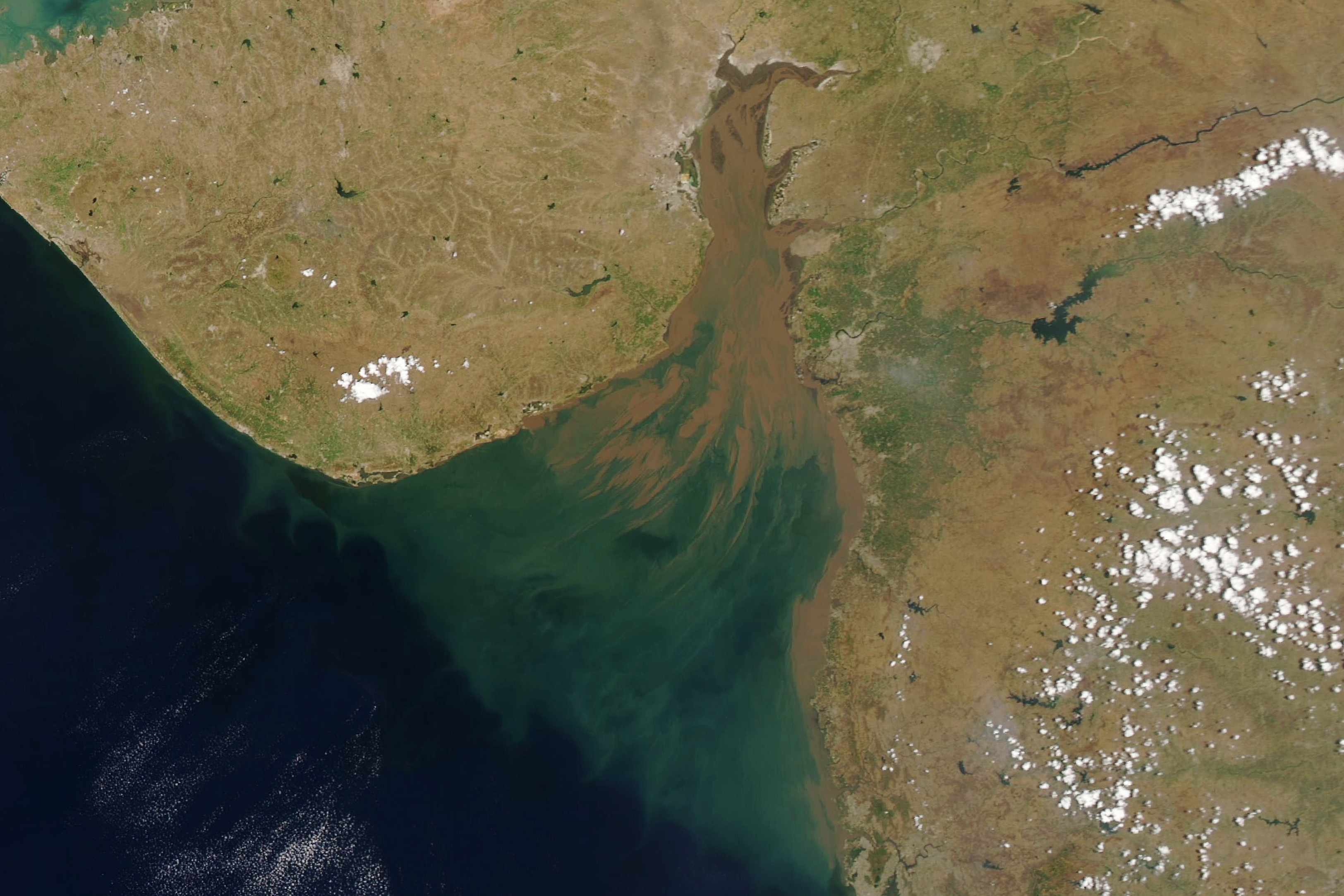 Suspended Sediments Streak a Shallow Gulf - related image preview