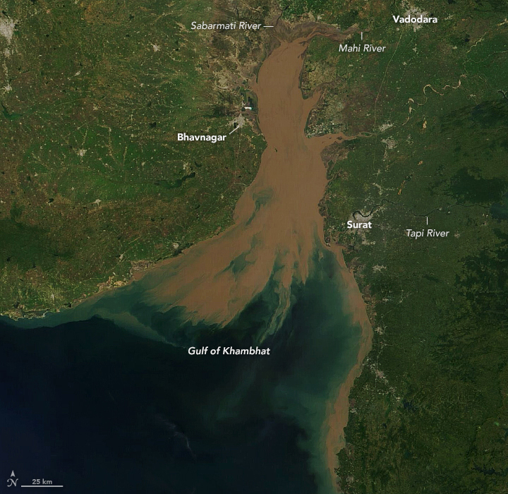 Suspended Sediments Streak a Shallow Gulf