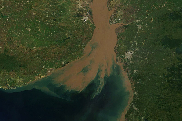 Suspended Sediments Streak a Shallow Gulf