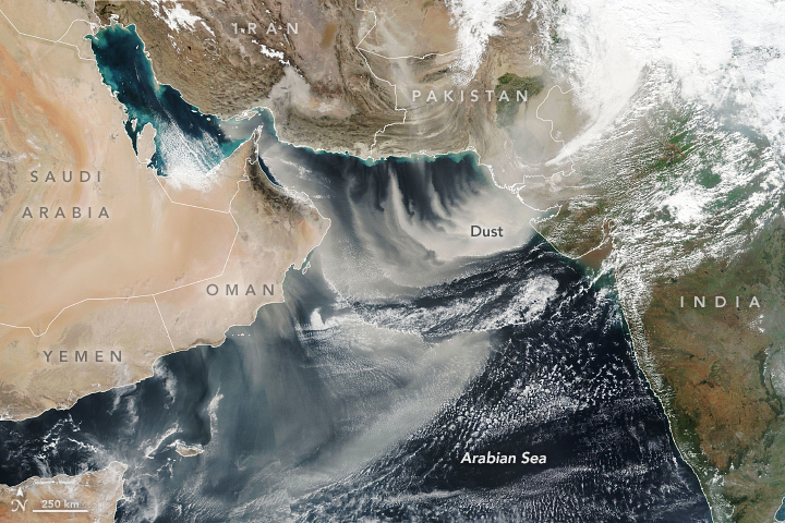 Dust Storm Envelops the Arabian Sea