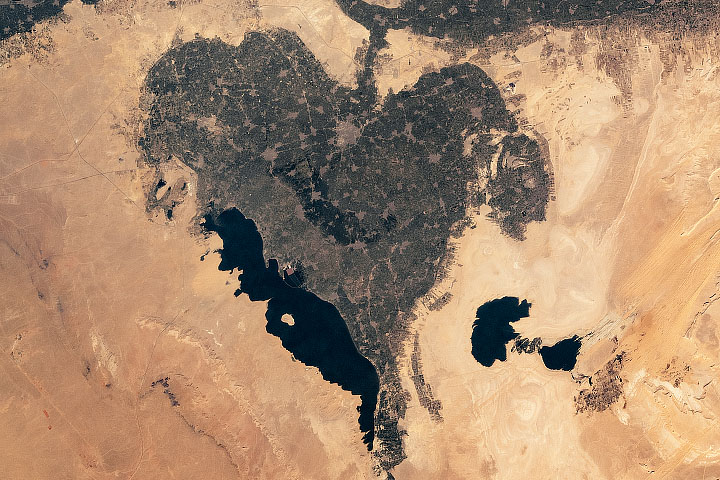Heart-shaped Oasis