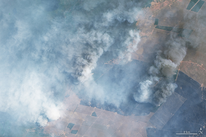 Wildfires Ravage Corrientes, Argentina - related image preview