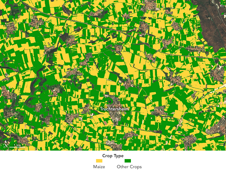 GEDI & Sentinel-2 Prediction