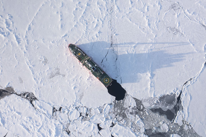 Enduring Antarctic Sea Ice - related image preview