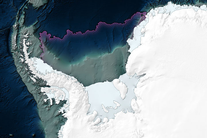 Enduring Antarctic Sea Ice