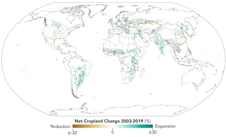 Global Croplands Expand