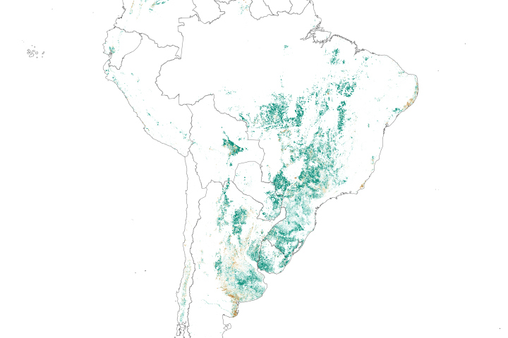 The Spread of Soy in South America - selected child image