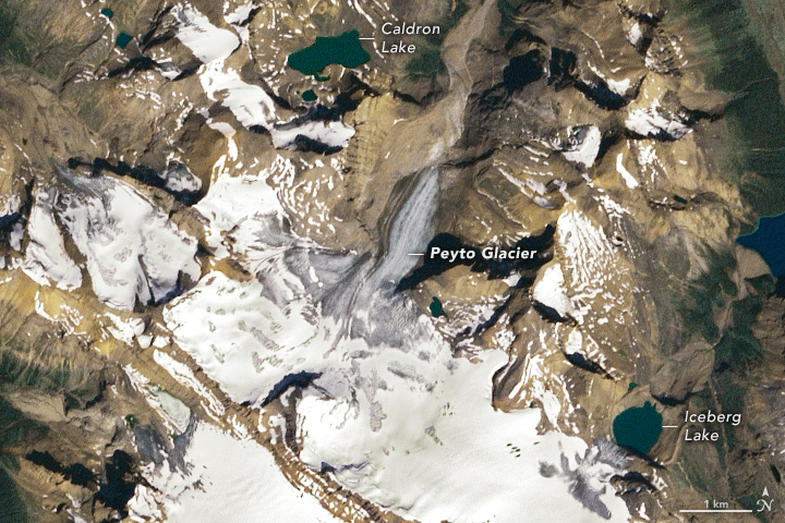 Losing a Long-Watched Glacier