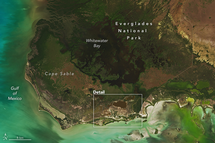 Measuring Methane in the Everglades - related image preview