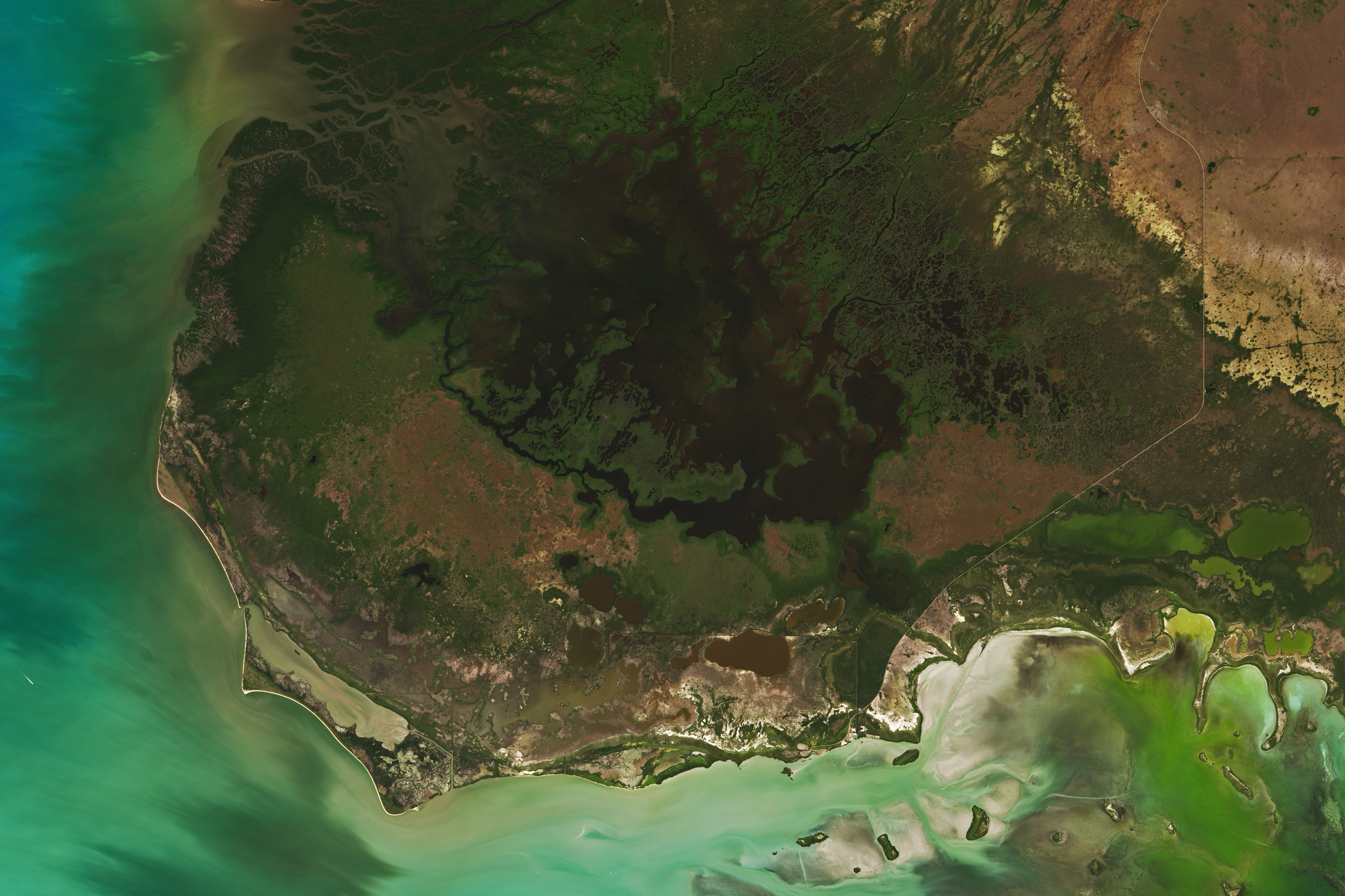 Measuring Methane in the Everglades - related image preview