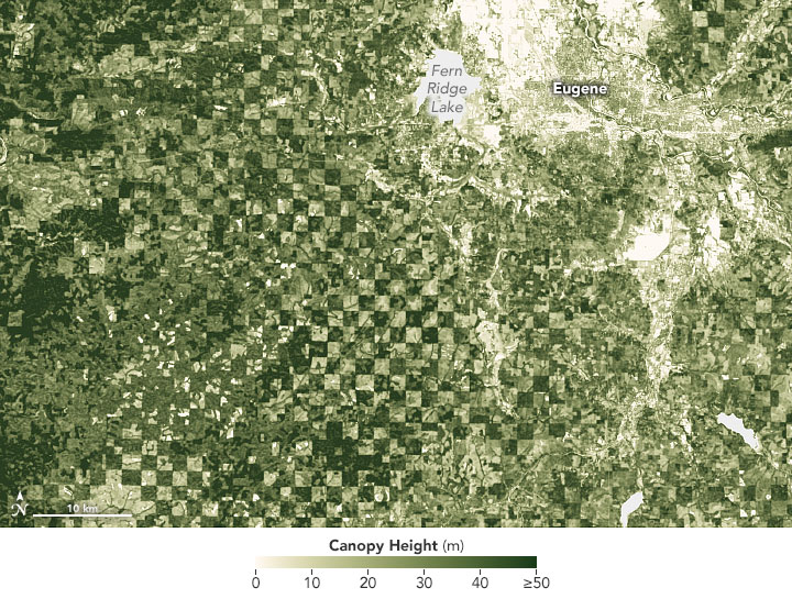 Scientists Show How Forests Measure Up - related image preview