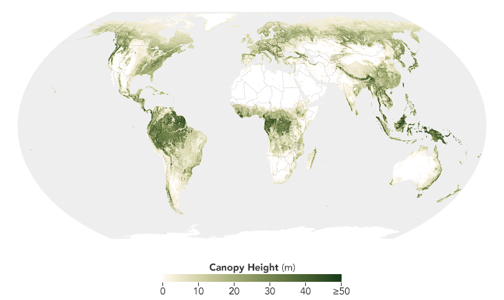 Scientists Show How Forests Measure Up