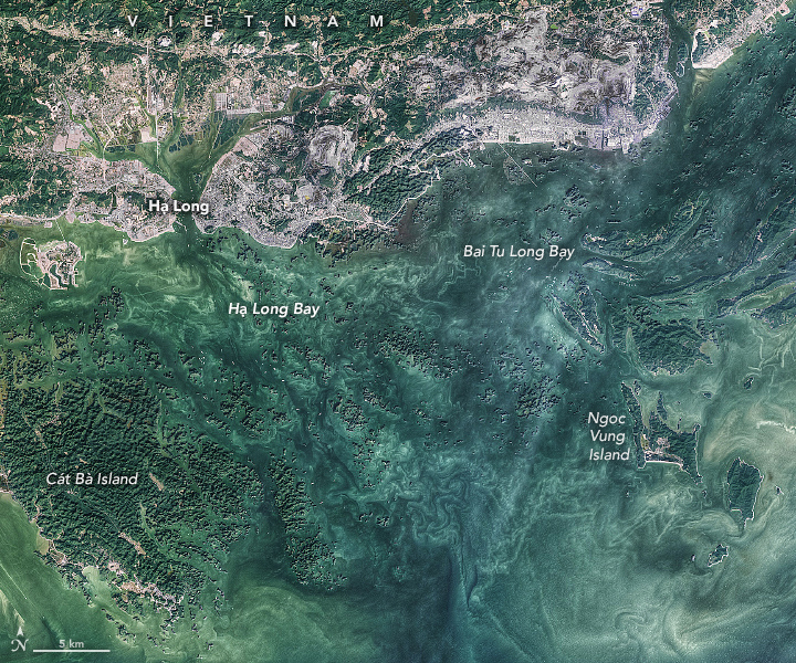 The Emerald Isles of Hạ Long Bay