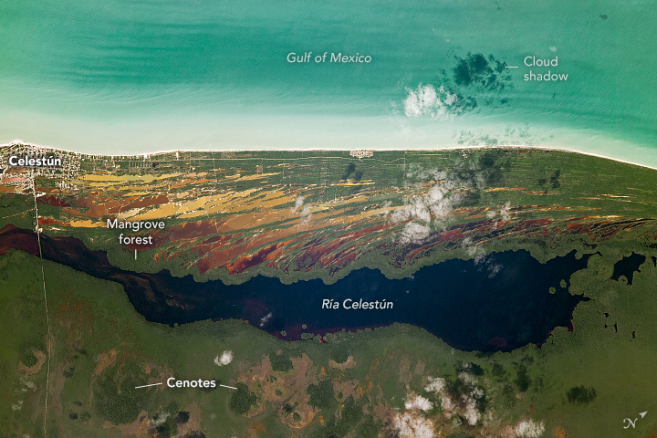 Karst and Colors on the Yucatán Peninsula - related image preview