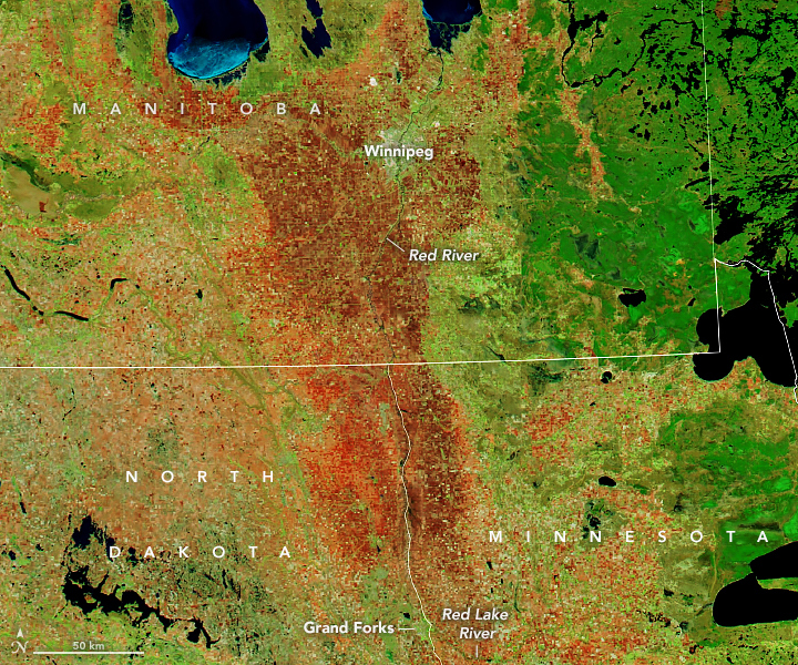 Red River Flooding is Worst in a Decade - related image preview