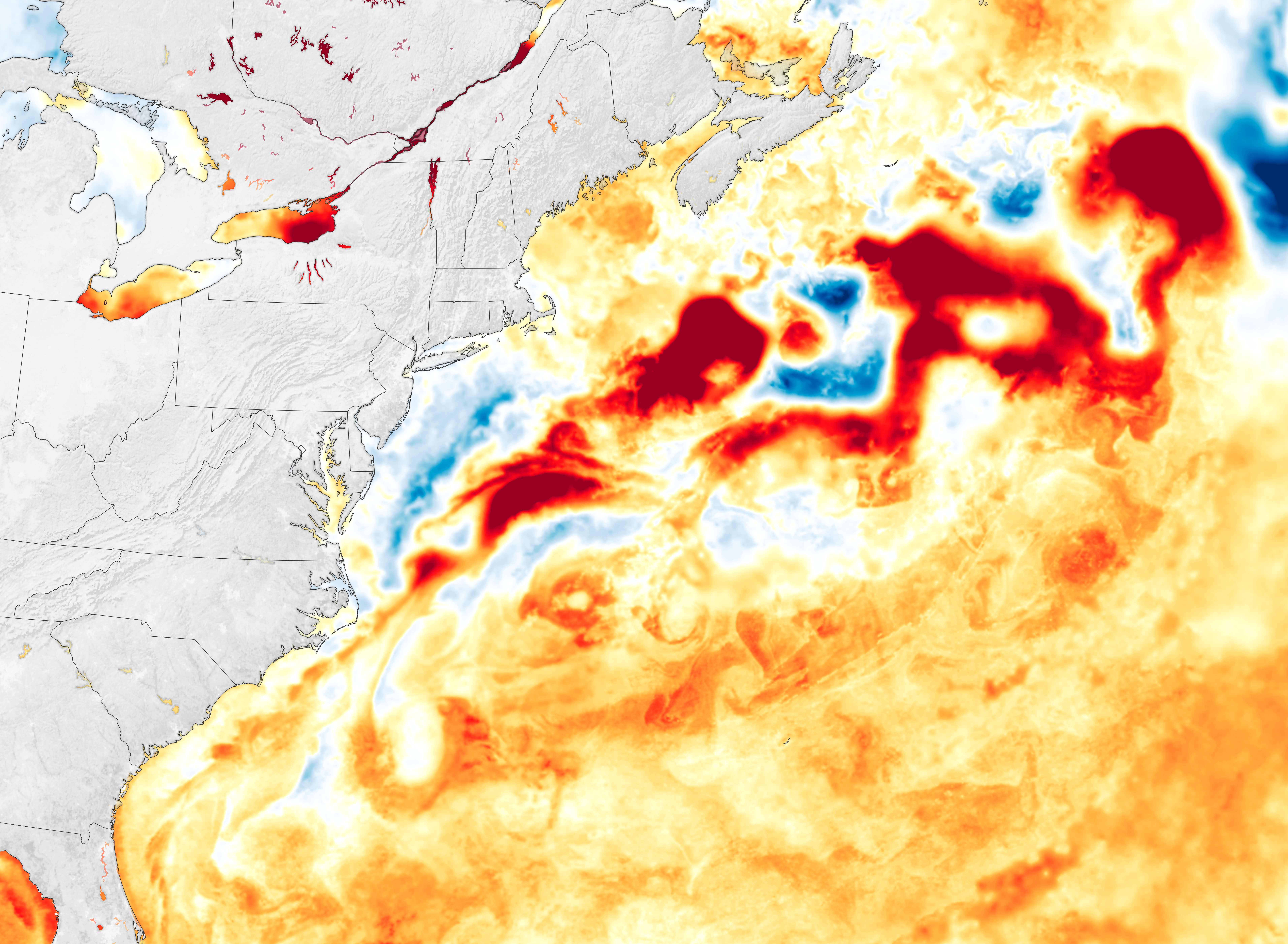 Stirring Up a Mid-Atlantic Bloom - related image preview