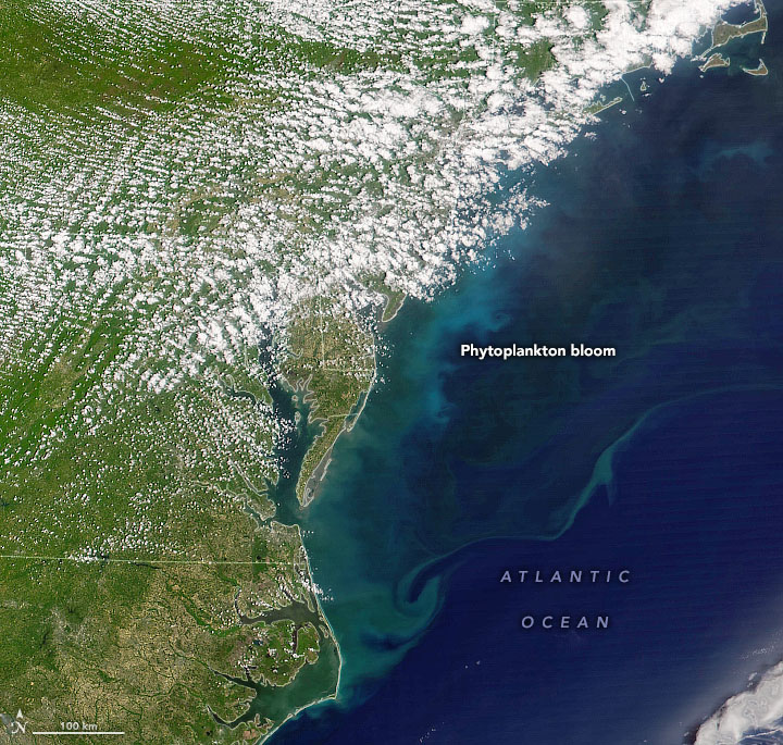 Stirring Up a Mid-Atlantic Bloom