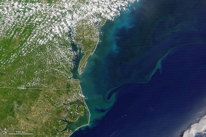 Stirring Up a Mid-Atlantic Bloom - related image preview