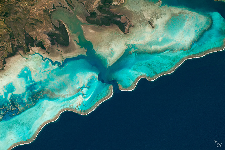 Reefs of New Caledonia - related image preview