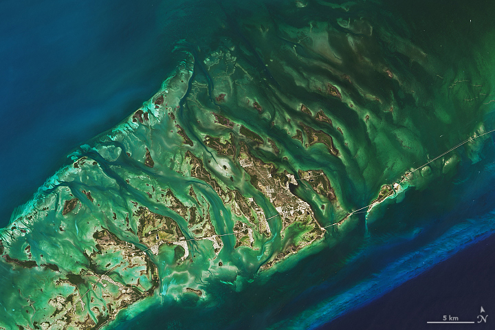 The Changing Seas of the Florida Keys - related image preview