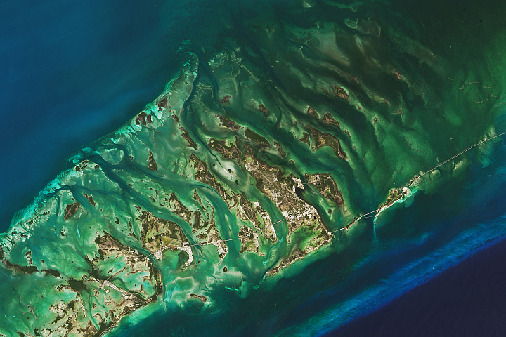 The Changing Seas of the Florida Keys