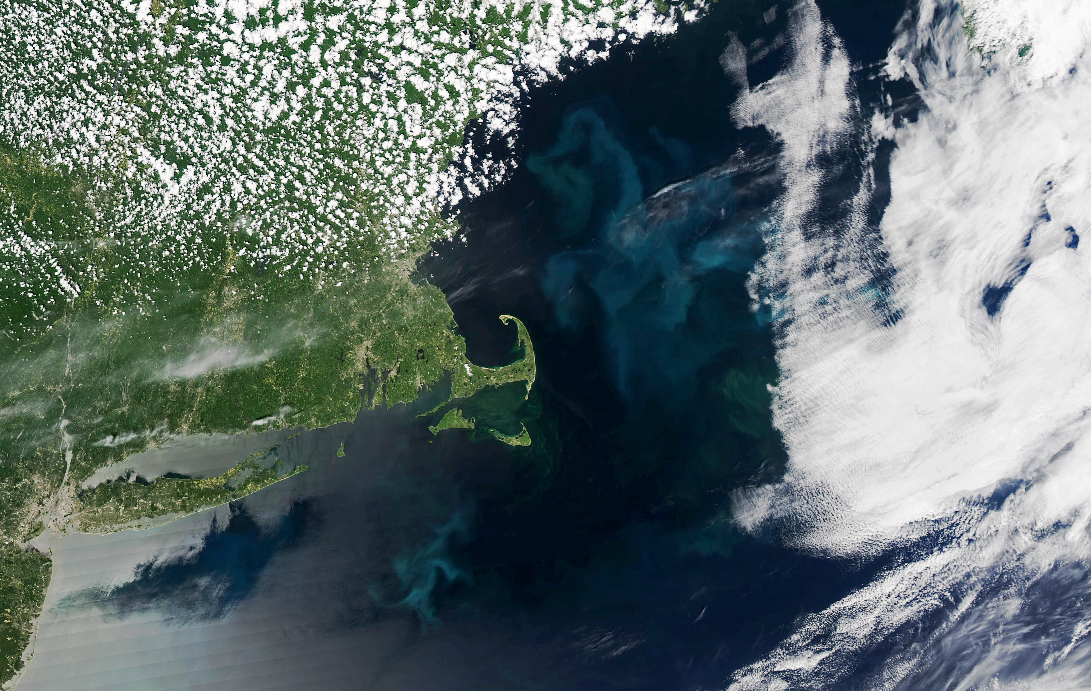 Phytoplankton Productivity Down in Gulf of Maine - related image preview