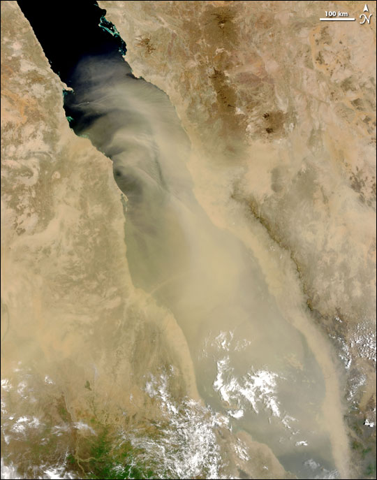 Dust Storm over the Red Sea