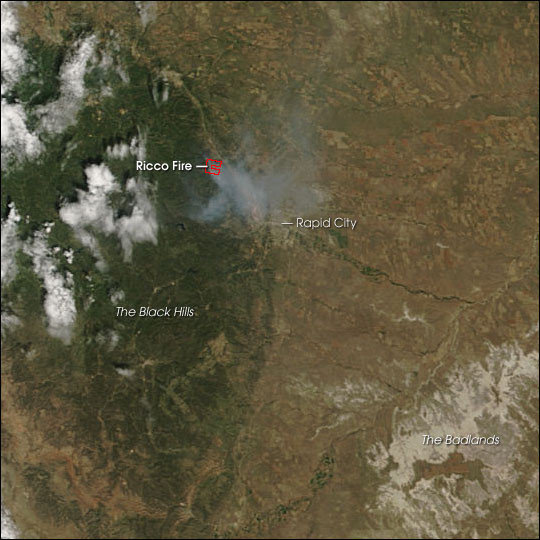 Ricco Fire in Black Hills National Forest