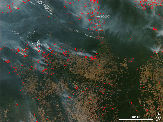 Fires in the Southeast Amazon