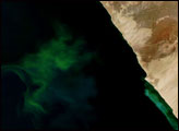 Phytoplankton and Hydrogen Sulfide off the Coast of Namibia