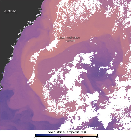 Itä-Australian Virta