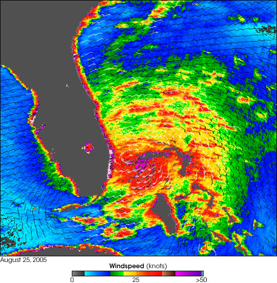 Hurricane Katrina - related image preview