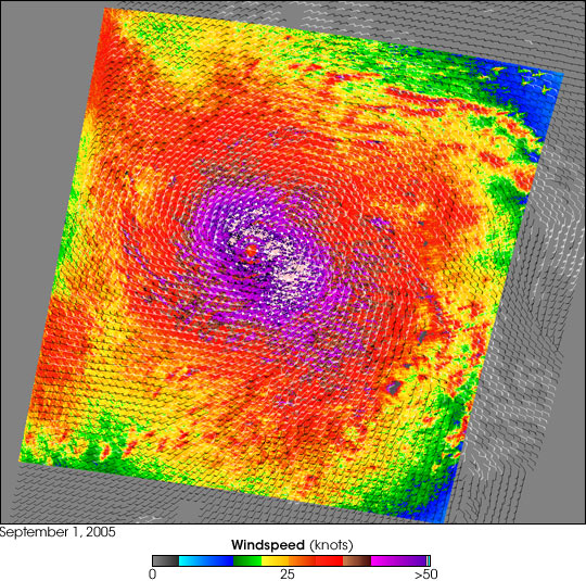 Super Typhoon Nabi - related image preview