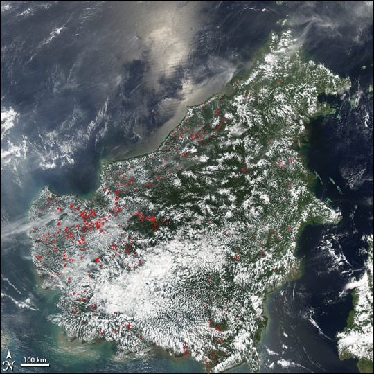 Fires in Borneo